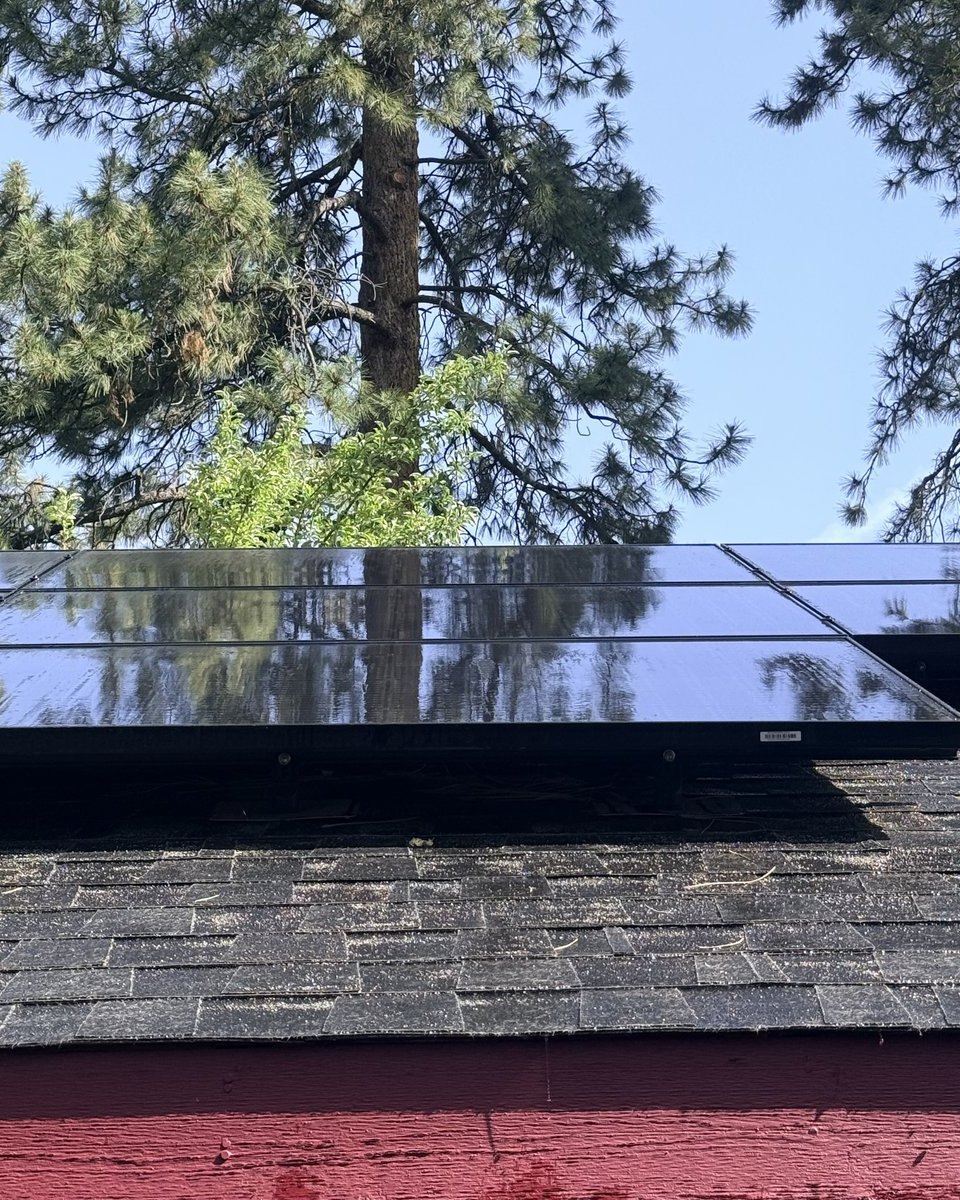 Solar panels after cleaning, glossy and reflecting the trees