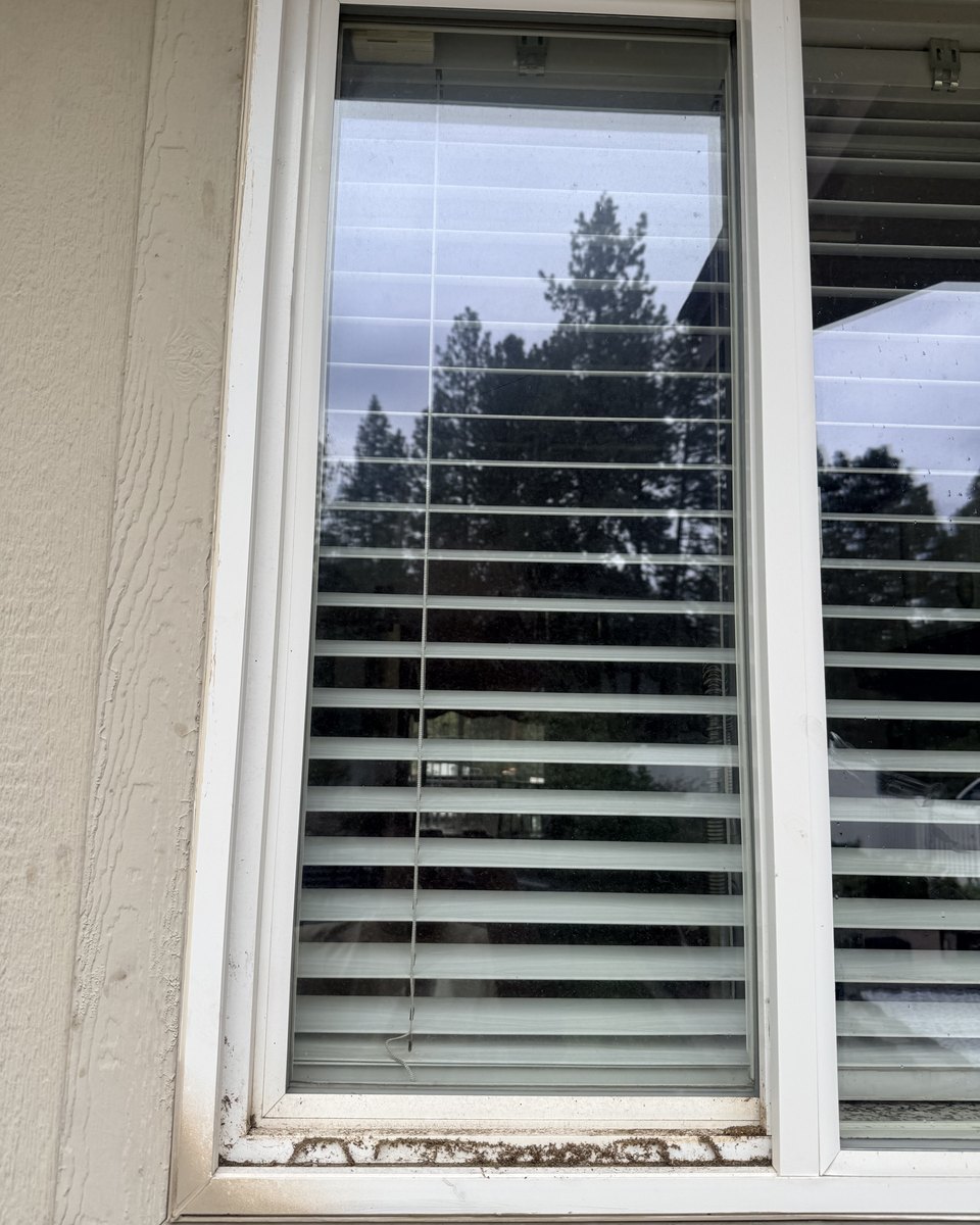 Window frame before cleaning, grime along the track edge